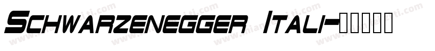 Schwarzenegger Itali字体转换